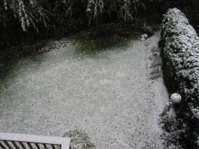 Click to enlarge: Snow-frosted lawn