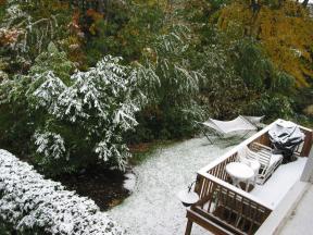 Click to enlarge: Snow-frosted neighbor's lawn and deck